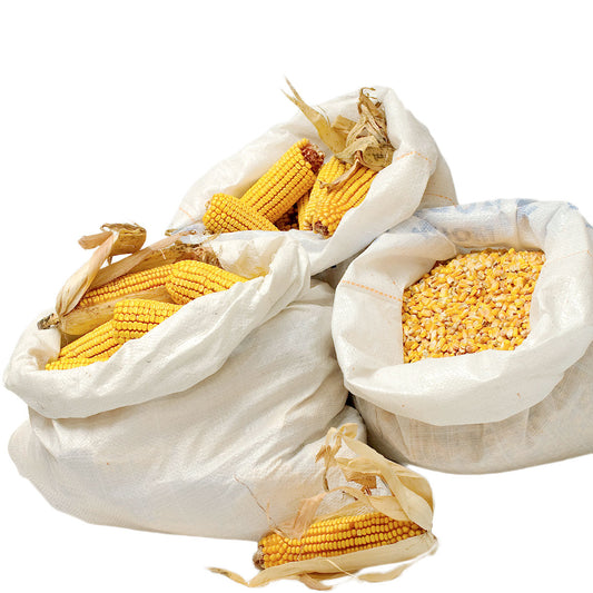 What is the Difference Between Woven Polypropylene and Polypropylene?
