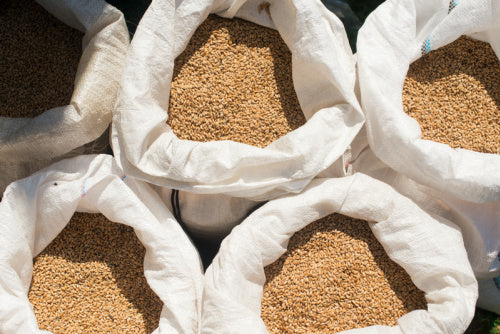 What Are Bulk Bags Used For?